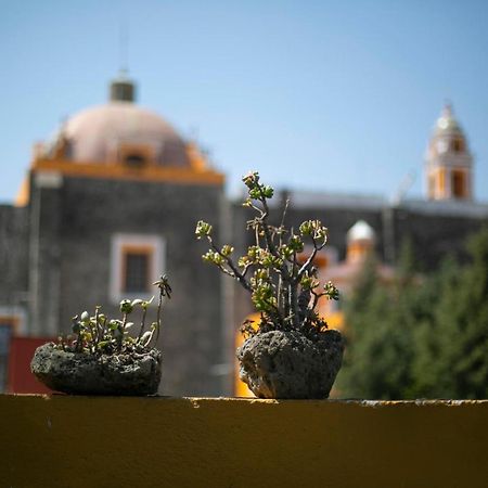 Majikal B&B - La Dona Cholula Zewnętrze zdjęcie